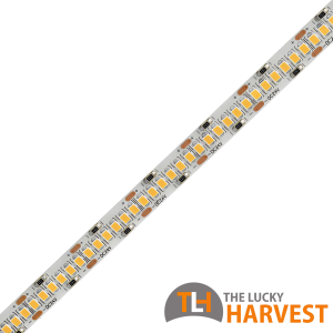 10mm LED Strip - 19.2w/m