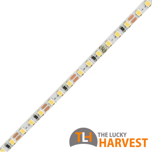 5mm LED Strip - 9.6w/m