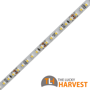 8mm LED Strip - 9.6w/m