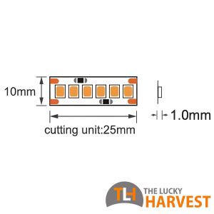 10mm LED Strip - 14.4w/m