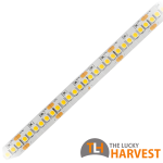 10mm LED Strip - 14.4w/m