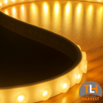 Cintura Wash 1910 Silicone LED