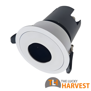 Rupica 75 Wall Wash Downlight