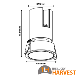 Rupica 75 Wall Wash Downlight