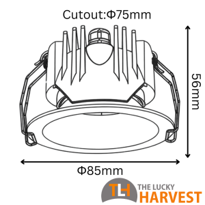 Umido 55 Downlight