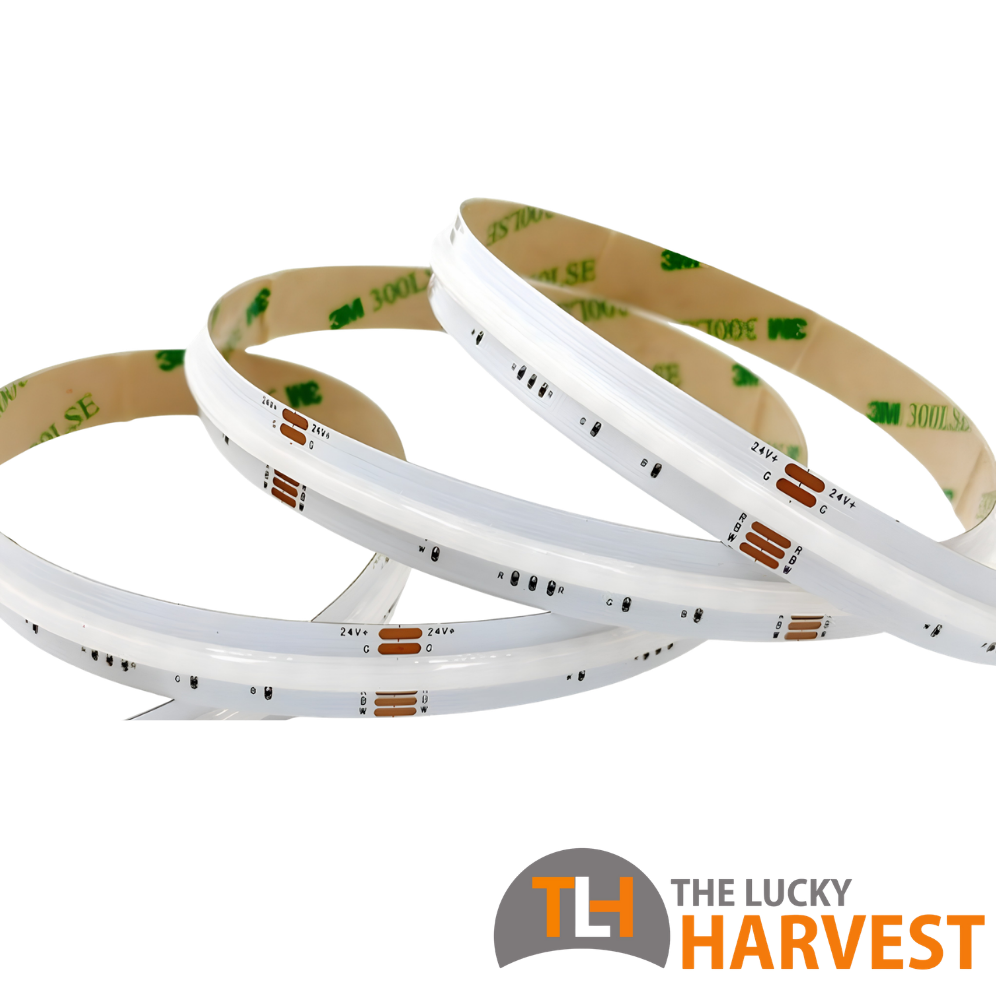 12mm RGBW LED Strip - 19.2w/m, COB, IP20