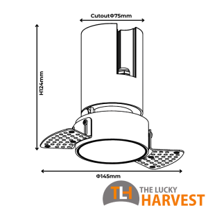 Rupica 80 Flush Downlight