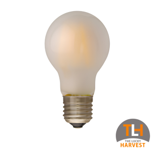 A60 Frosted LED Filament Bulb