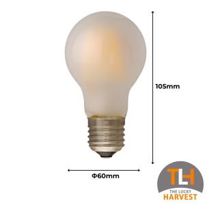 A60 Frosted LED Filament Bulb