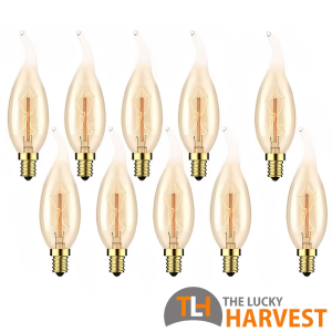 C35L Incandescent Vintage Bulb 4W