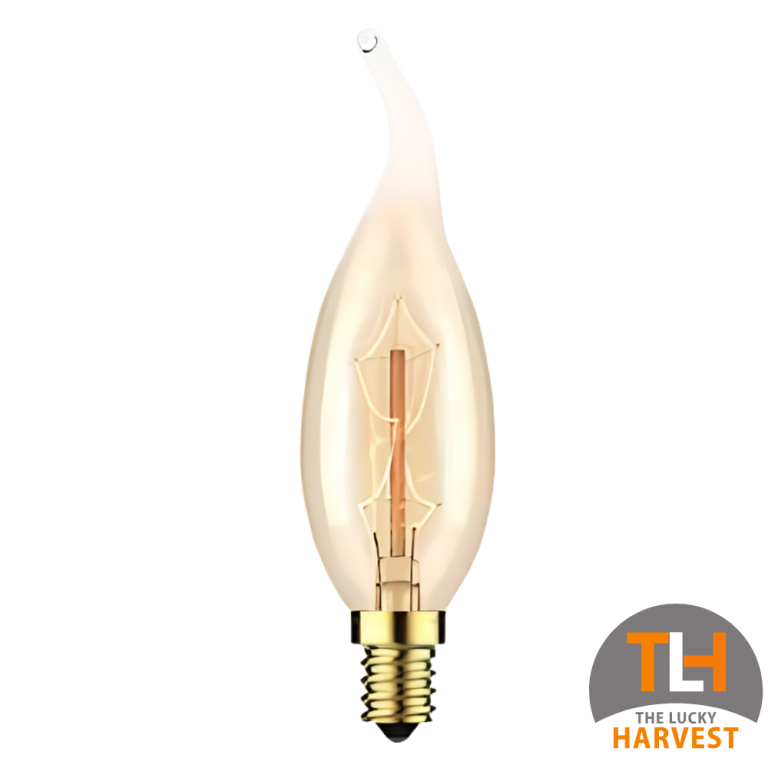 C35L Incandescent Vintage Bulb 4W