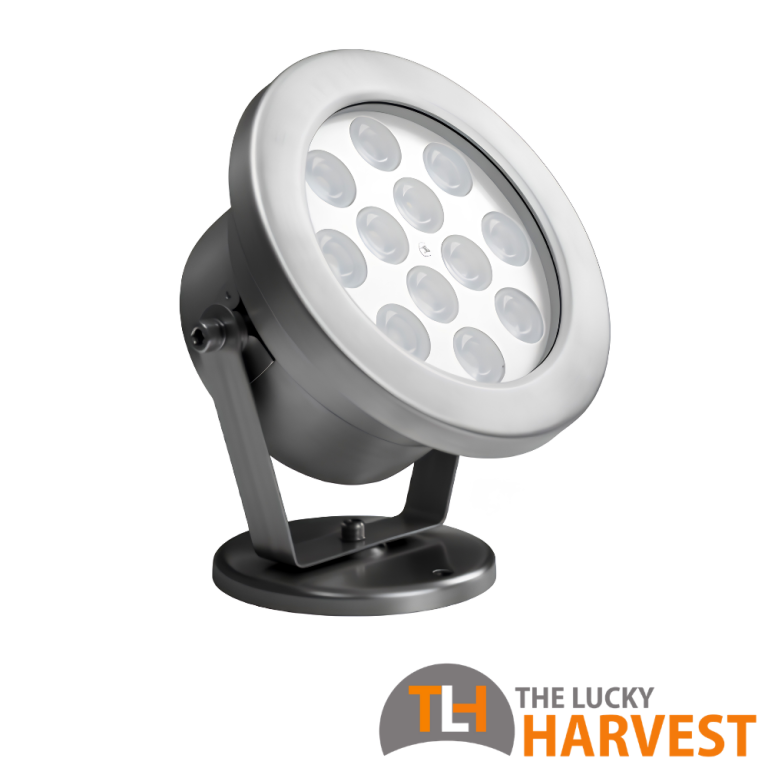 Stagno Submersible