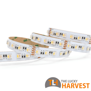 12mm RGBW LED Strip - 19.2w/m, SMD