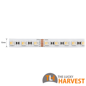12mm RGBW LED Strip - 19.2w/m, SMD